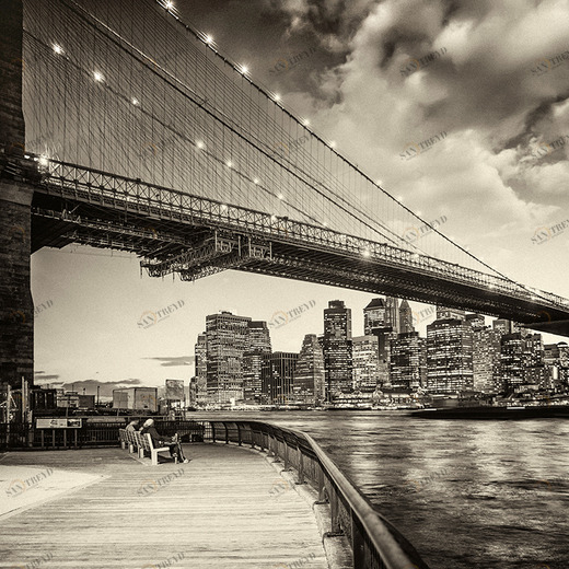 C1-159 Фотообои DIVINO Collection C 2.7х3 м C1159