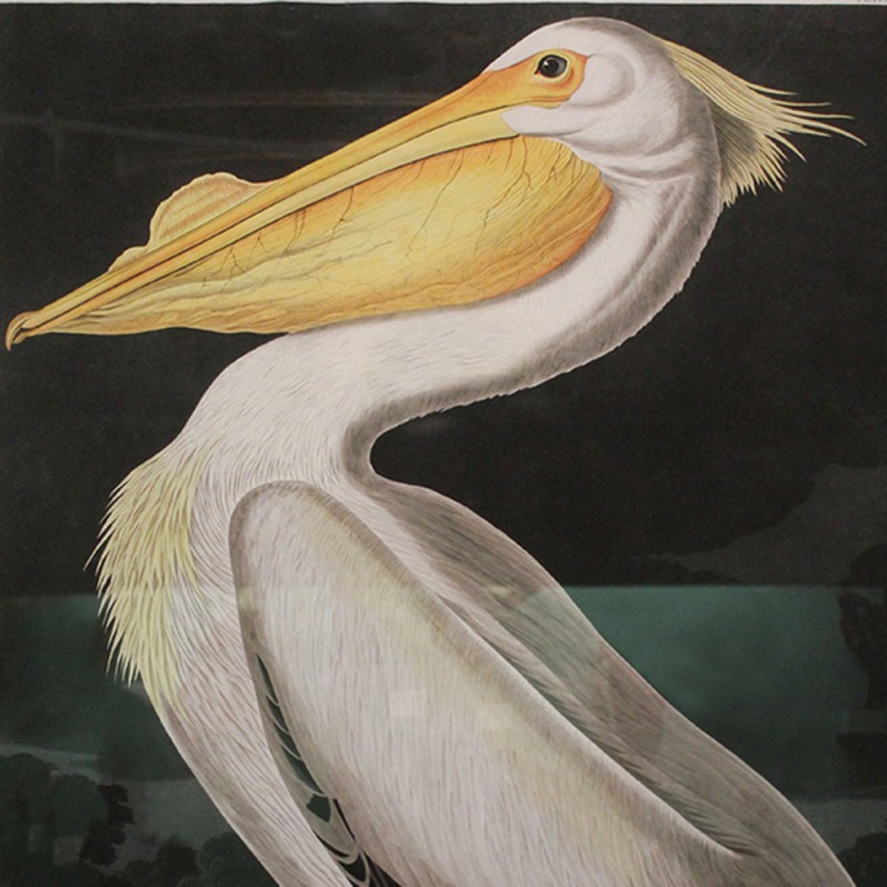 2111/CX38 Картина 1166 Adriani e Rossi 