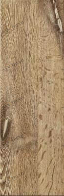 Aspe Louro dune 20.5х61.5 Stynul sun-id-309288