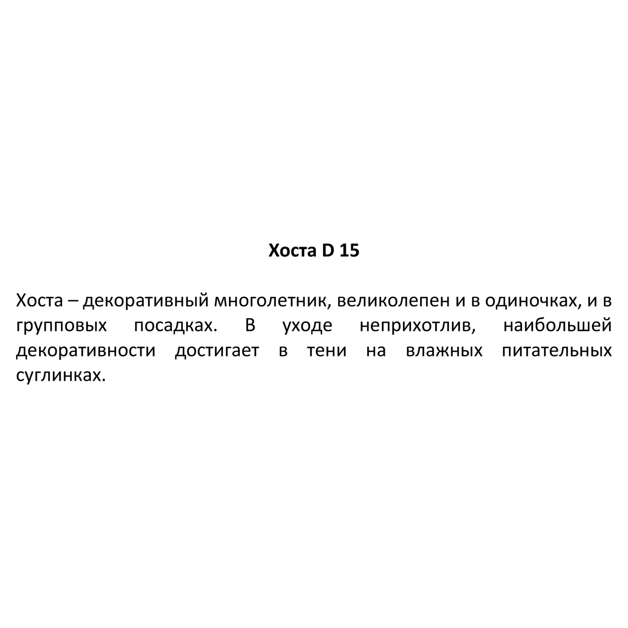 83248249 Хоста ø15 h30 см Santreyd  - Вид №2