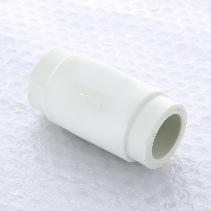 Клапан обратный ProAqua ДУ32 PRO AQUA PA47012 - Вид №3