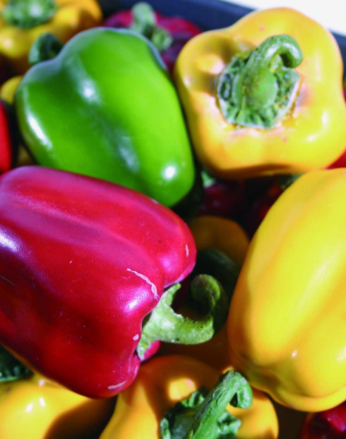 7203 444 a3 Искусственный перец, 9 см, красный H-andreas 