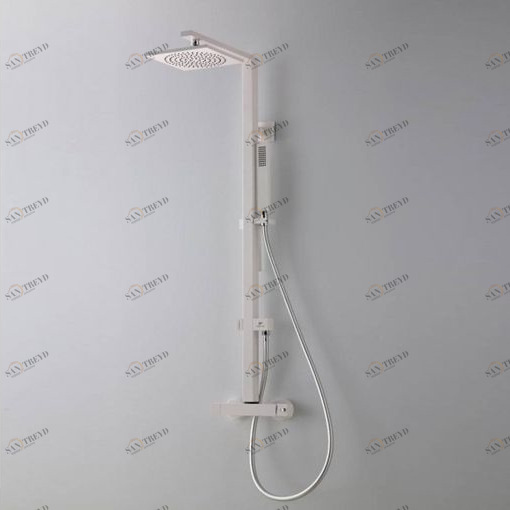 Термостатический смеситель для душа S216001002 System pool Nap SYSTEMPOOL