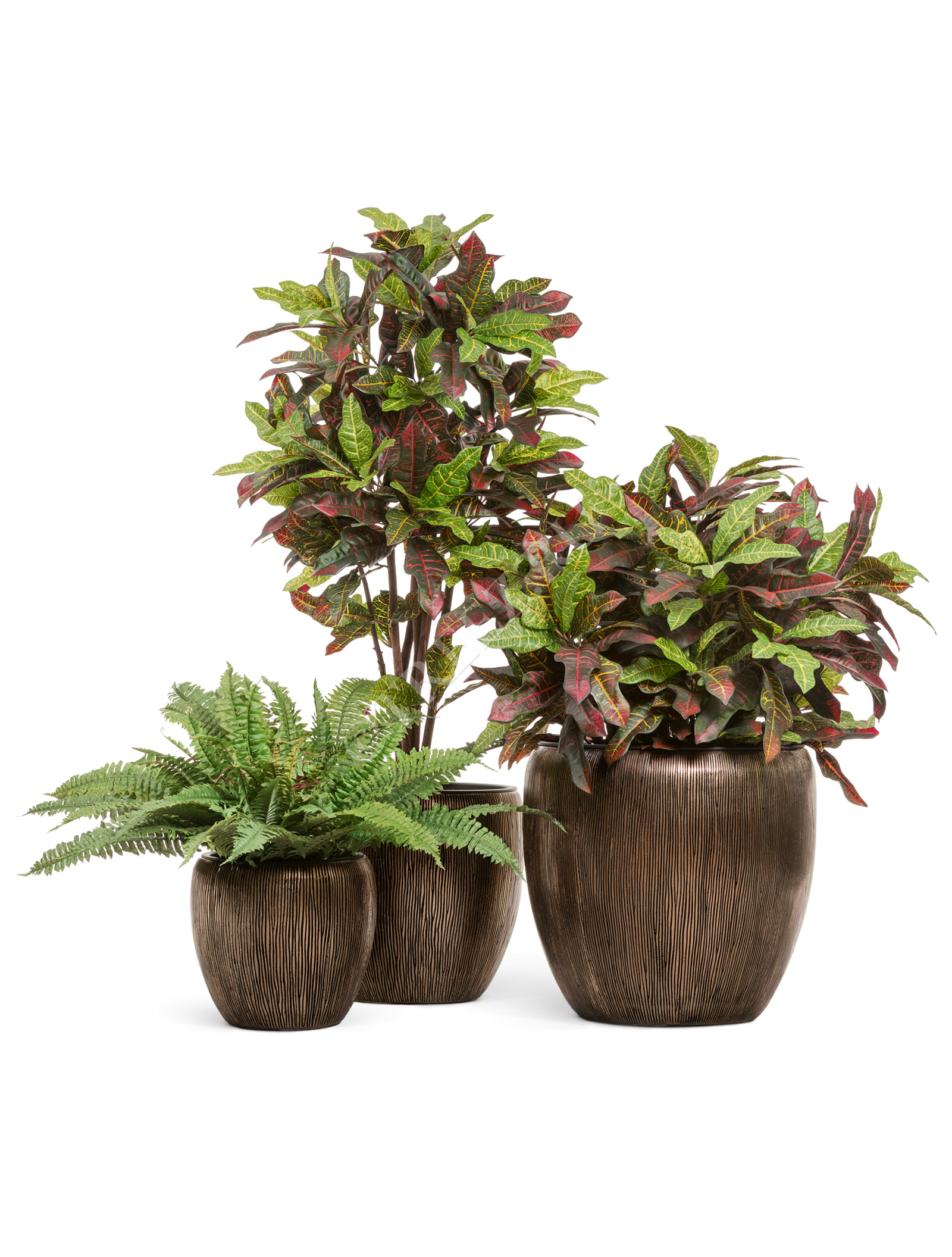 41.3320-06-044-BRS-39 Кашпо  Effectory - серия Wow - Конус-Чаша - Тёмное матовое золото Цветочная коллекция  - Вид №4