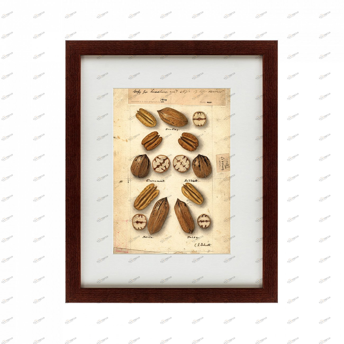 Картина: Watercolor collection, drawing №6, 1909 КАРТИНЫ В КВАРТИРУ  135754 Разноцветный 