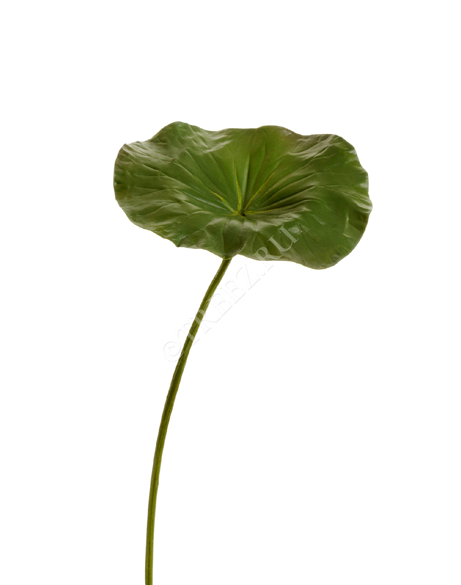 30.11170023GR Лист Лотоса Цветочная коллекция  - Вид №1