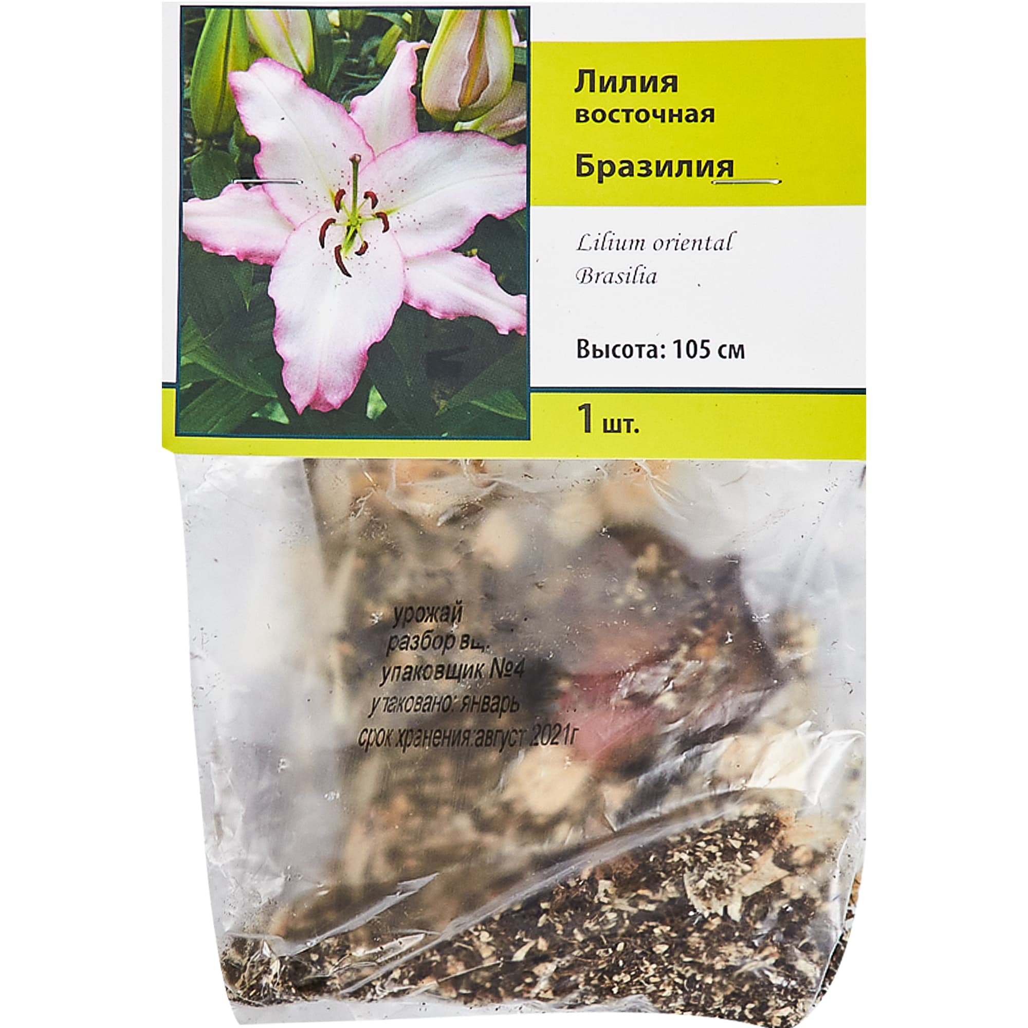 83597420 Лилия восточная Бразилия луковица 12/14 Santreyd  - Вид №2