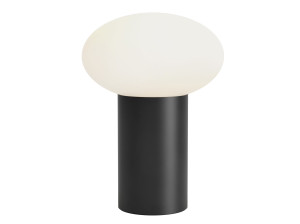 Алюминиевая светодиодная настольная лампа с батарейным питанием