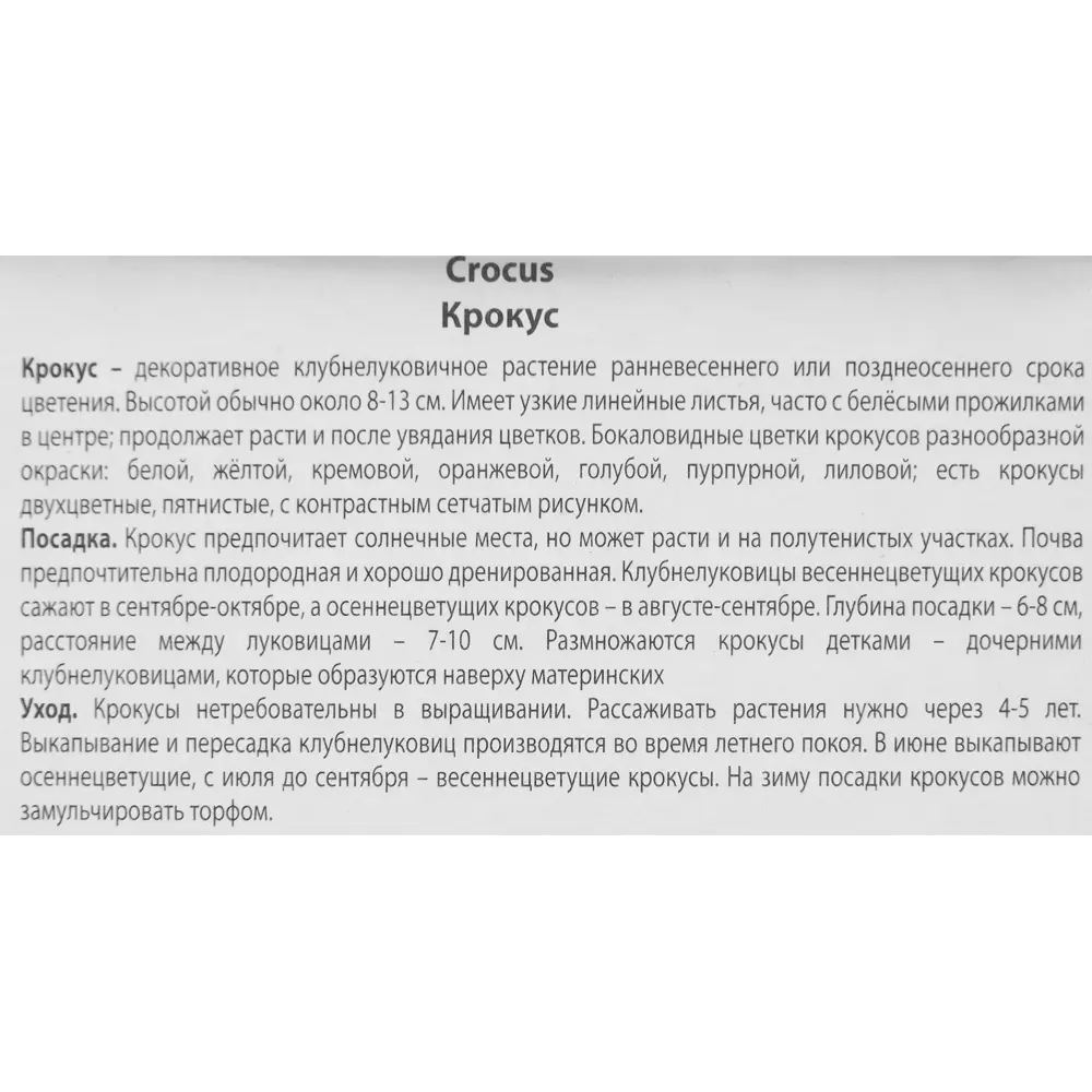 Крокус ботанический Крим бьюти луковица 5/7, 10 шт. 88294626 STLM-2127167 Santreyd  - Вид №2
