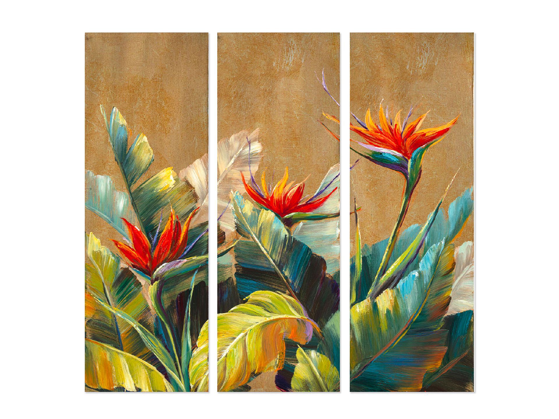 Холст рамки Agave STERLIZIE ARCH-00051097