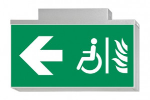 DST-803 Lisu ceiling-mounted Daisalux Светильники аварийные Серебристо-Серый