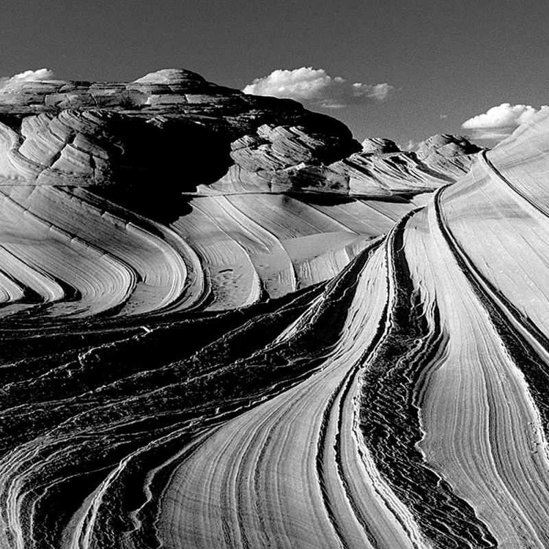 0308/CX38 Набор из 6 ящиков для травяного декора Adriani e Rossi 