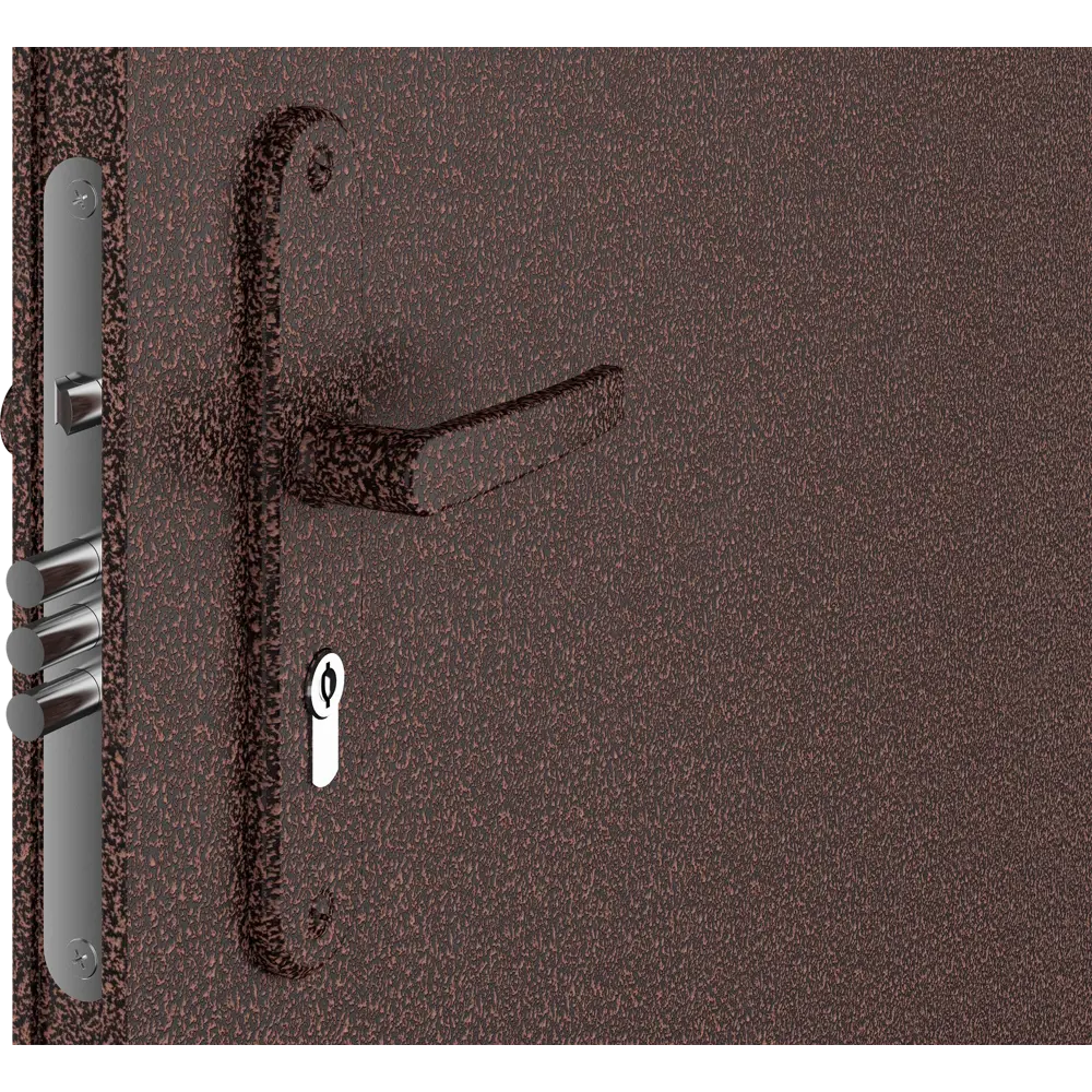 Дверь входная металлическая Лидер, 960 мм, правая, цвет античная медь DOORHAN STLM-2007001 - Вид №1