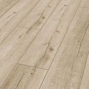 Ламинат Maestro Club Дуб Прованс BL06