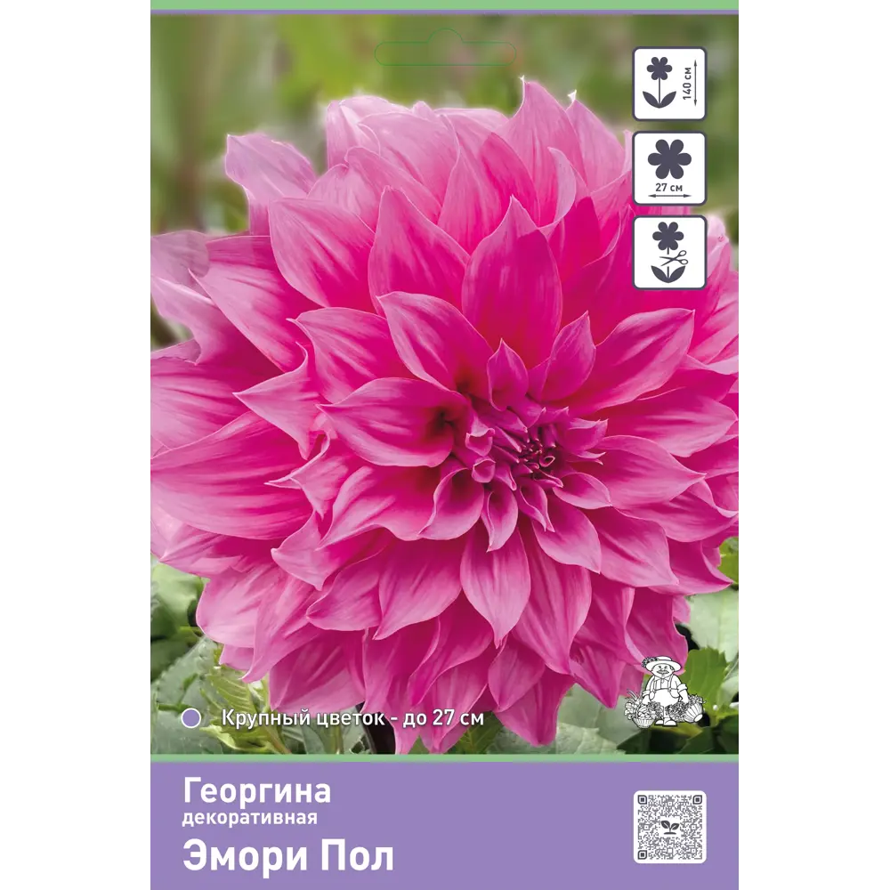 Георгина декоративная Эмори Пол ПОИСК STLM-2142301