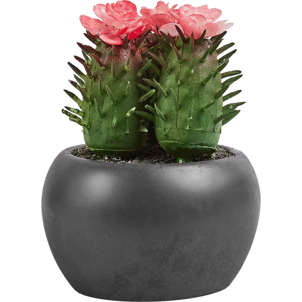 Искусственное растение в пластиковом горшке Atmosphera Кактус D6.3x11.5 см микс 87051746 STLM-2119665  - Вид №5