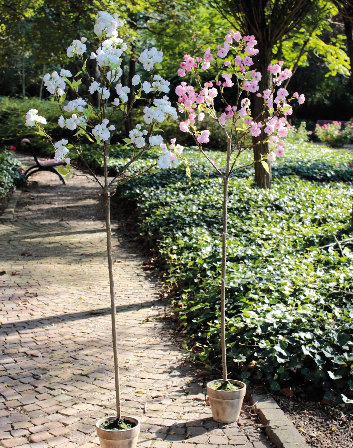 5505 778 a3 Искусственное дерево сакуры, в горшке, 168 см, бежево-белое H-andreas  - Вид №3