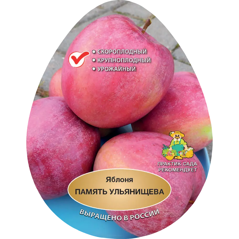 Яблоня Память Ульянищева h200 см Поиск Инвест 84399337 STLM-2010295 Santreyd 