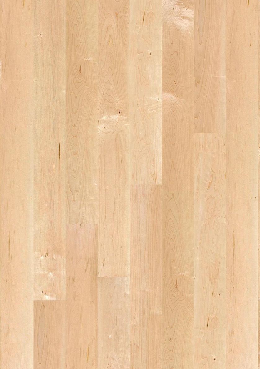BOEN 3-х слойный кленовый паркет Plancia Mag835pd - Вид №1