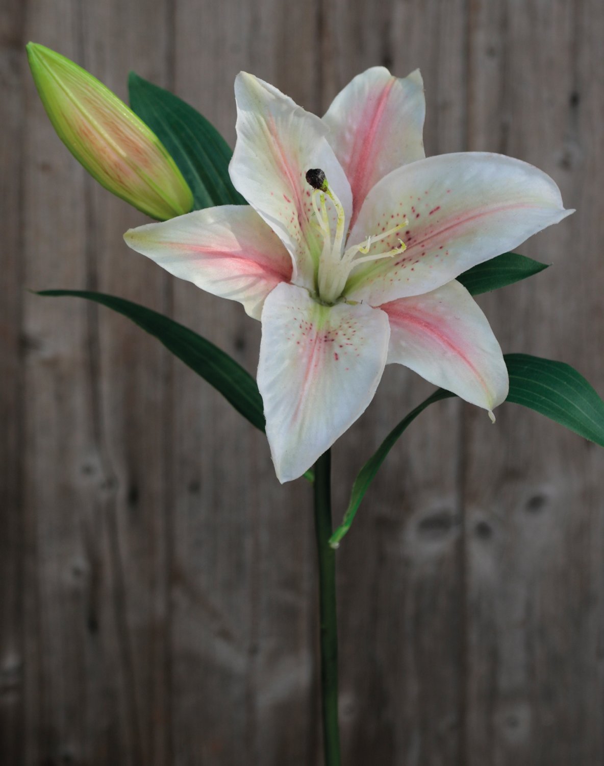 3211 755 a3 Искусственная лилия, 45 см, бежево-розовая H-andreas 