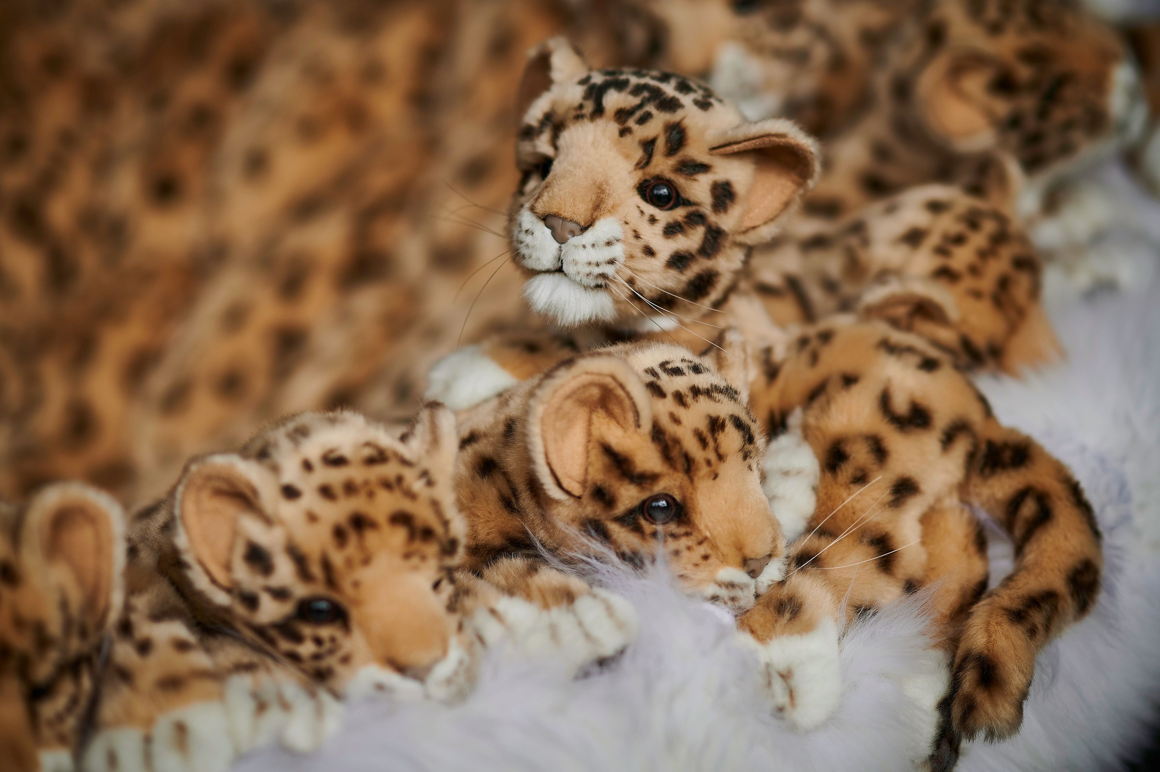 Полиэфирное кресло APCOLLECTION Leo ARCH-00065214 - Вид №13