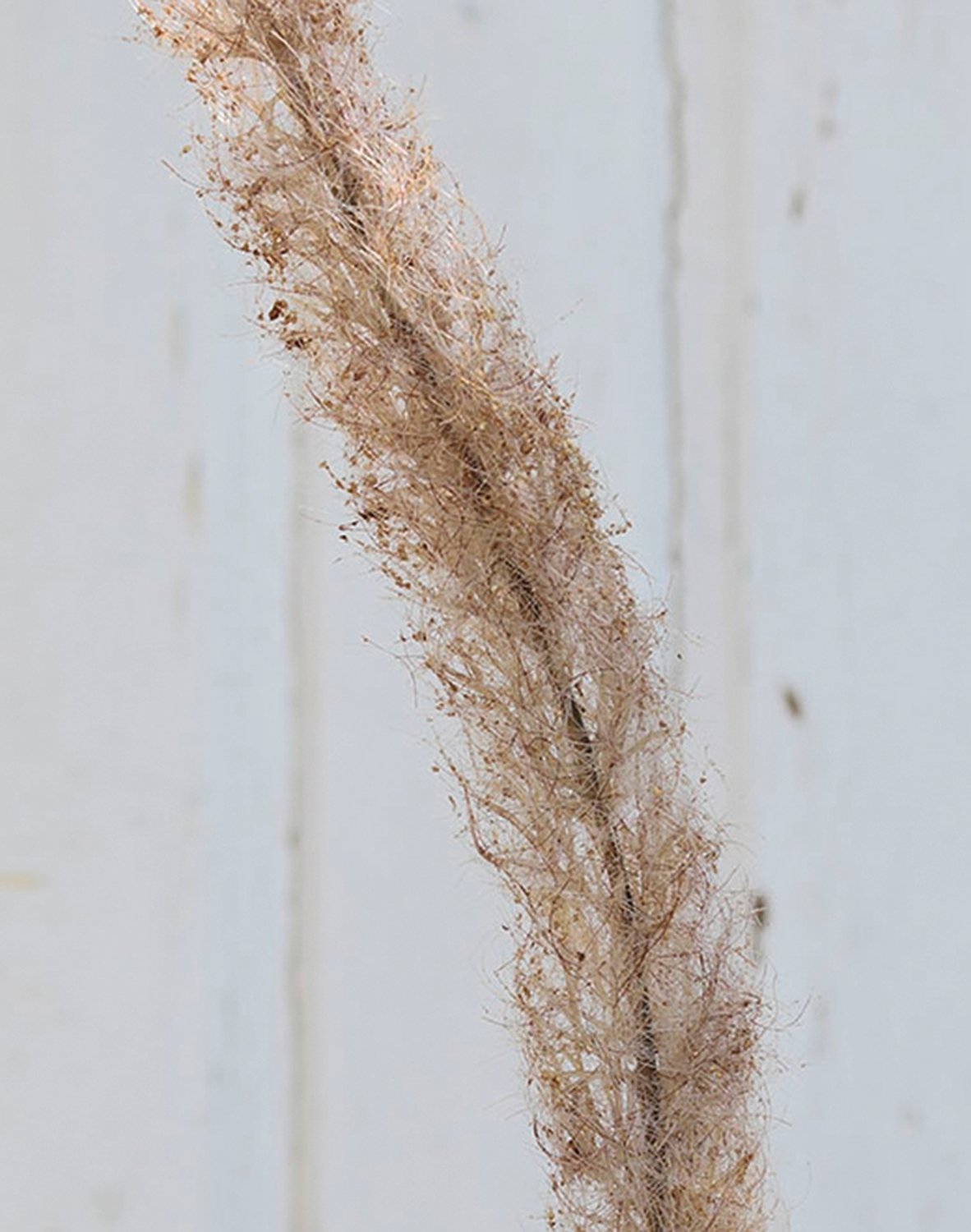 6813 608 a3 Трость искусственная, 160 см, коричнево-зеленая H-andreas  - Вид №1