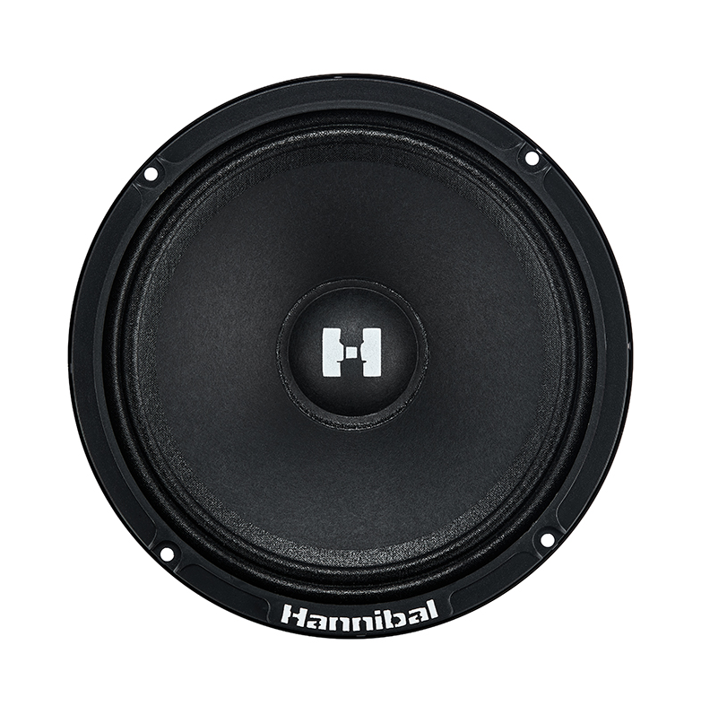 5481304 Среднечастотная акустическая система Deaf Bonce Alphard Hannibal HM-6E+ STDN-0053769 - Вид №1