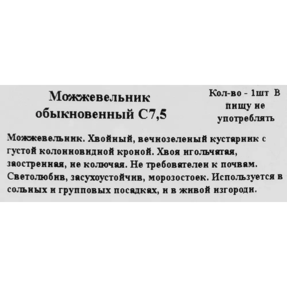 Можжевельник обыкновенный 22x80 см 82550323 STLM-2135403 ГАВРИШ  - Вид №1