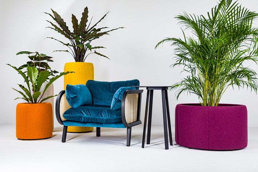 BuzziSpace Горшок в переработанном домашнем животном sun-id-1404870 - Вид №7