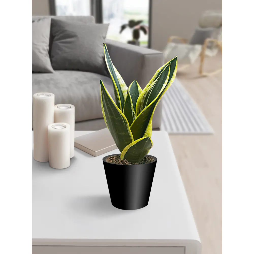 IDI LAND Кашпо London черное с системой терморегуляции 83994172 STLM-0045971 - Вид №3