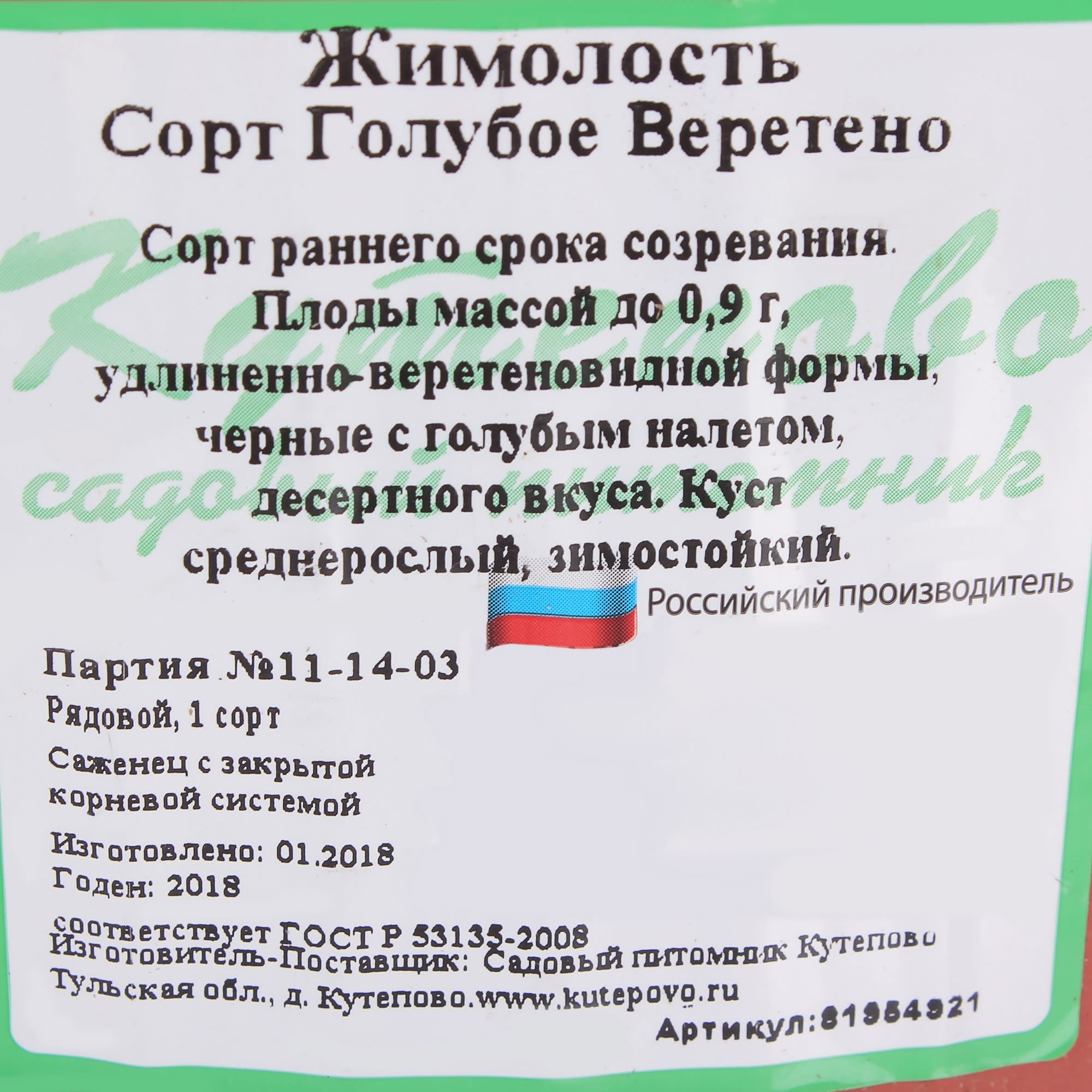 81954921 Жимолость плодовая С3 «Голубое веретено» h50 Santreyd  - Вид №1