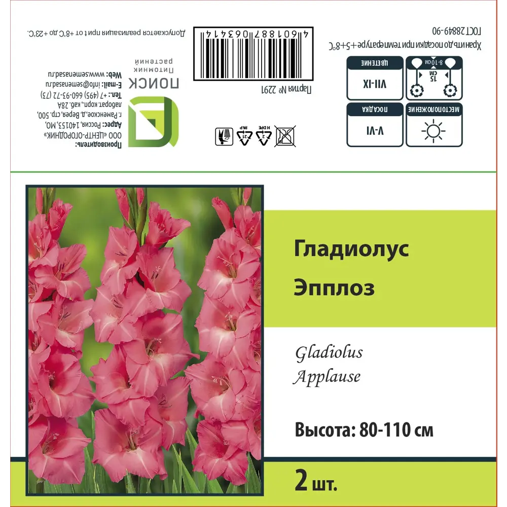 Гладиолус крупноцветковый Эплоз 2 шт. 89452392 STLM-2063802 ПОИСК 