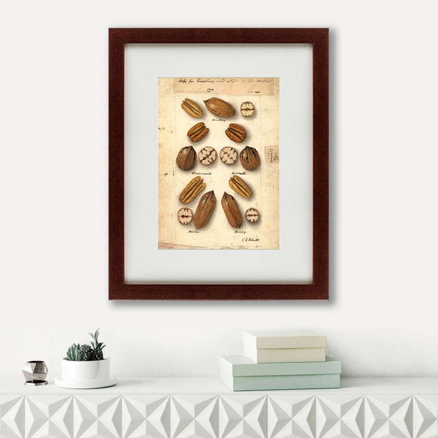 Картина: Watercolor collection, drawing №6, 1909 КАРТИНЫ В КВАРТИРУ  135754 Разноцветный  - Вид №1