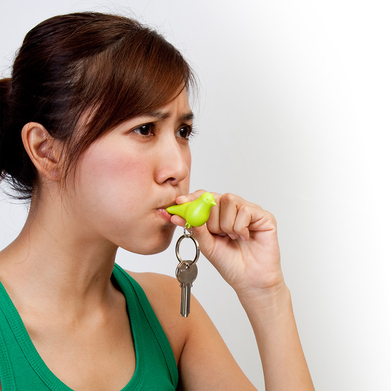 QL10124-WH-WH-YW Держатель для ключей двойной sparrow белый-желтый Qualy  - Вид №2