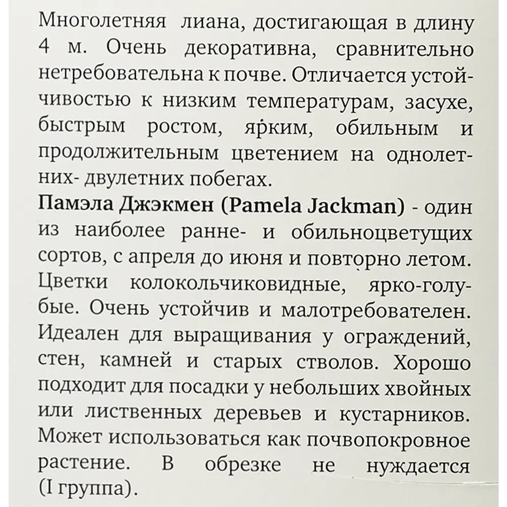 Клематис Памэла Джэкмен ø9 h39 см 83738687 STLM-2208826 Santreyd  - Вид №3