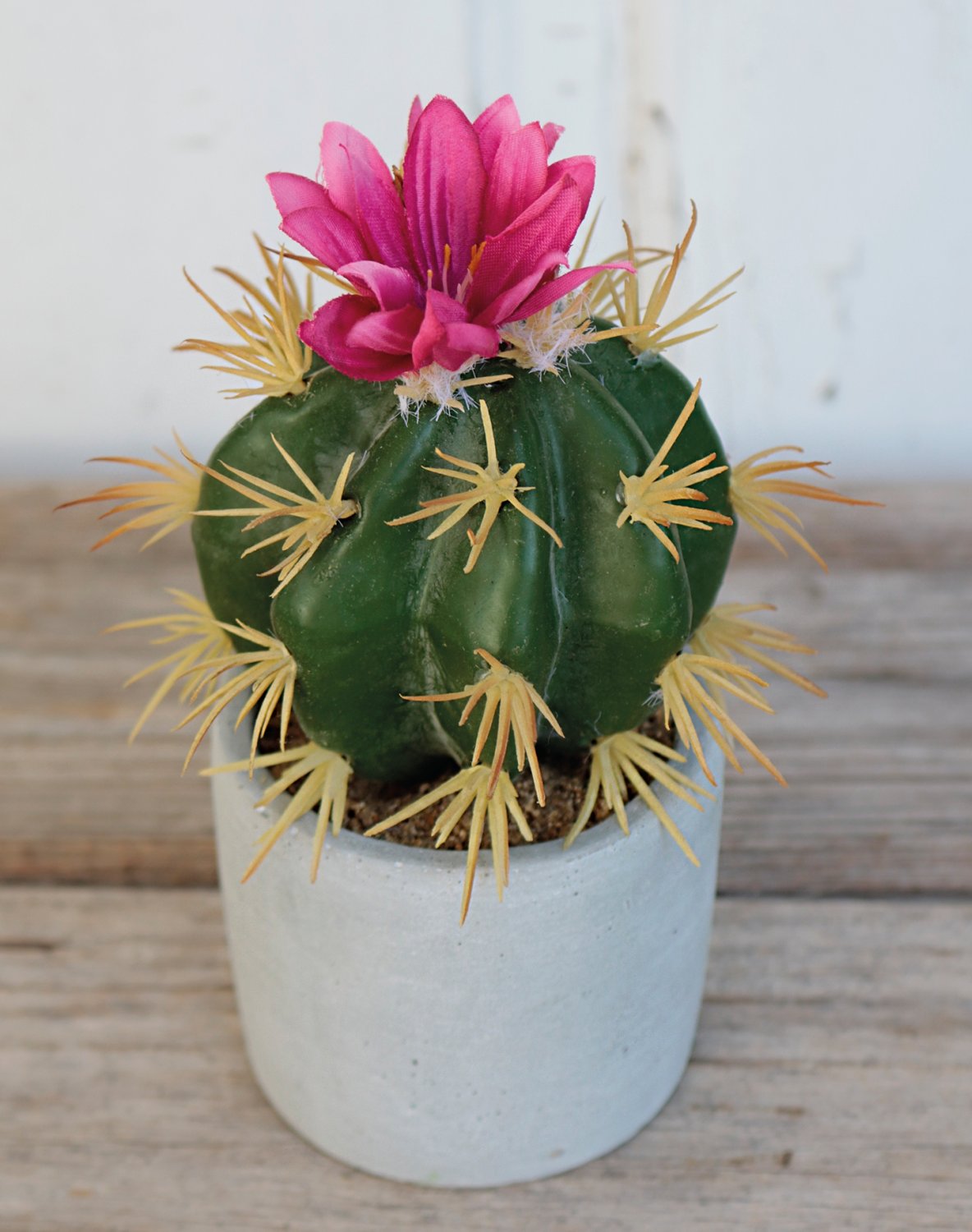 6068 883 a3 Пластиковые суккуленты-микс, в горшках, 3 шт., 10/14/17 см, зеленые H-andreas  - Вид №13