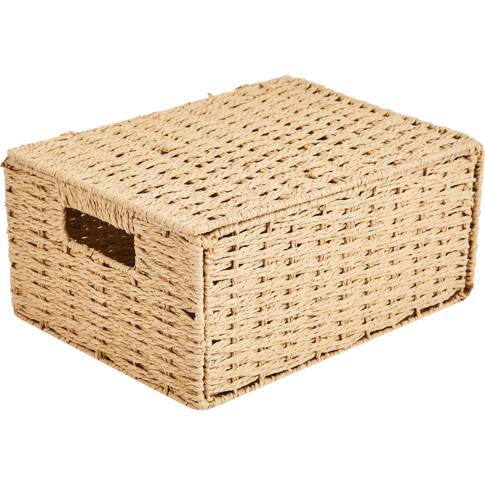 Корзина с крышкой для хранения 31x15x23 см бумага цвет бежевый SPACEO Kub STLM-2131078