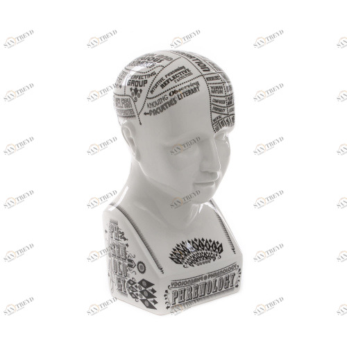 Арт-объект / Phrenology Seletti sun-id-373080