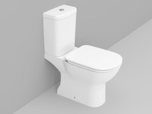 Пол керамический моноблочный туалет