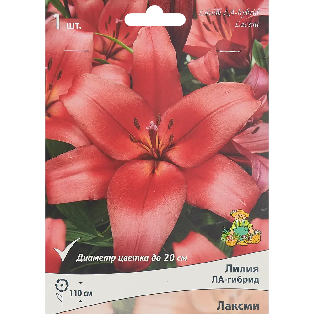 Лилия ла-гибрид Лаксми 85186033 STLM-2190077 ПОИСК 