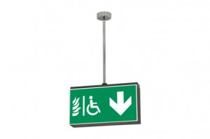 DST-1008 Lisu suspended Daisalux Светильники аварийные Металлический Серый