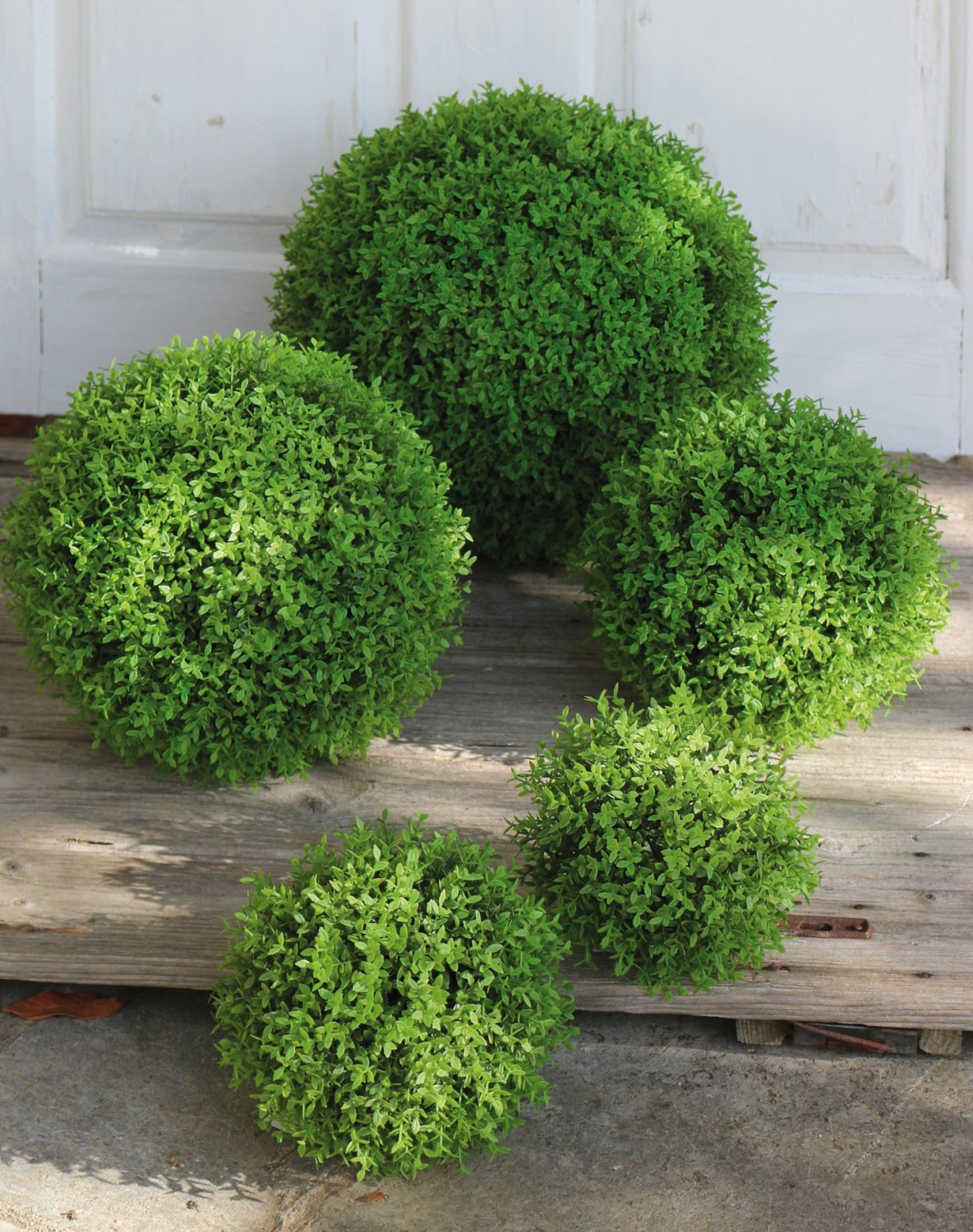 4545 803 a3 Шарик из искусственного мирта, Ø 22 см, желто-зеленый H-andreas  - Вид №4