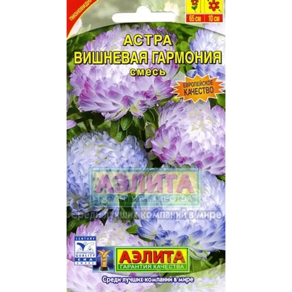 Астра «Вишнёвая гармония» смесь окрасок 13888301 STLM-2058670 Santreyd 