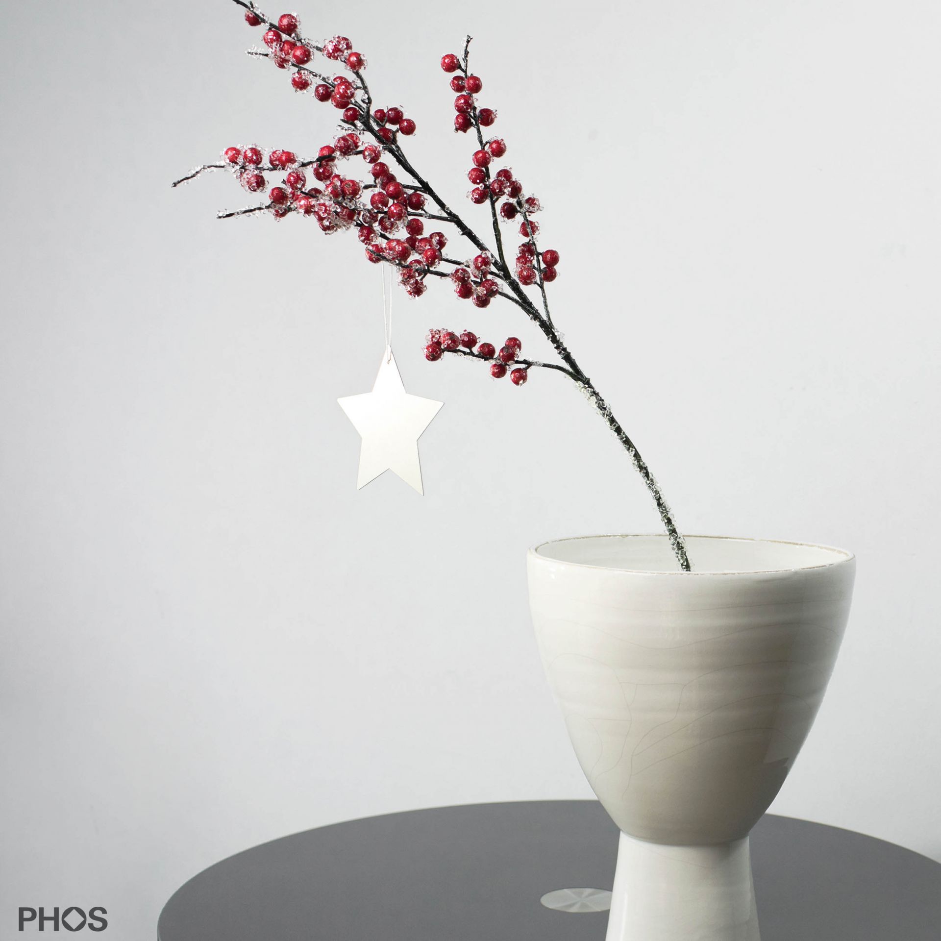 STERN4KW Poinsettia pegasi-3, белая порошковая окраска PHOS  - Вид №1