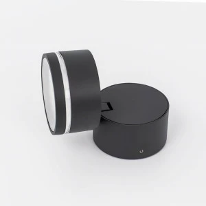 Уличный настенный светильник светодиодный D 9 см черный Citilux CLU0008R CITILUX CLU0008 00-3897913 Прозрачный;черный