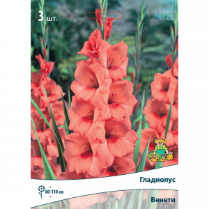 83596534 Гладиолус крупноцветковый Венети луковица 10/12
