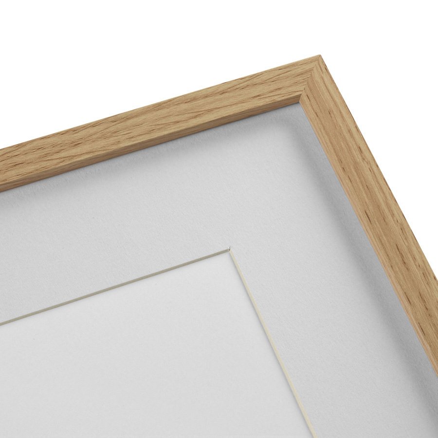 Литография на тонированной бумаге 52х42 см Cashew Tree, 1742г. КАРТИНЫ В КВАРТИРУ  264406 Белый;коричневый;разноцветный  - Вид №3