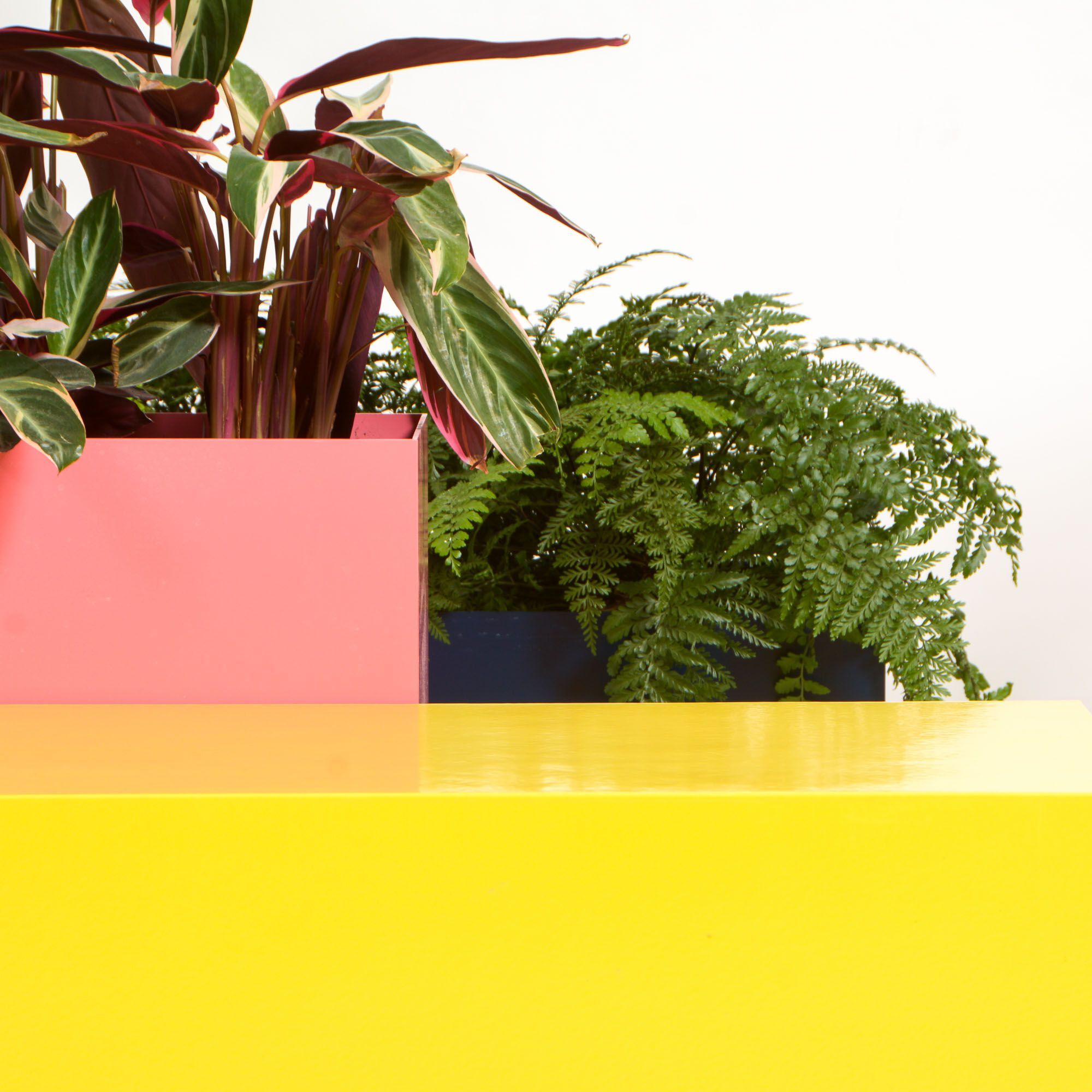 Высокая алюминиевая сеялка с порошковым покрытием SIXINCH PLANTER ARCH-00090881 - Вид №12