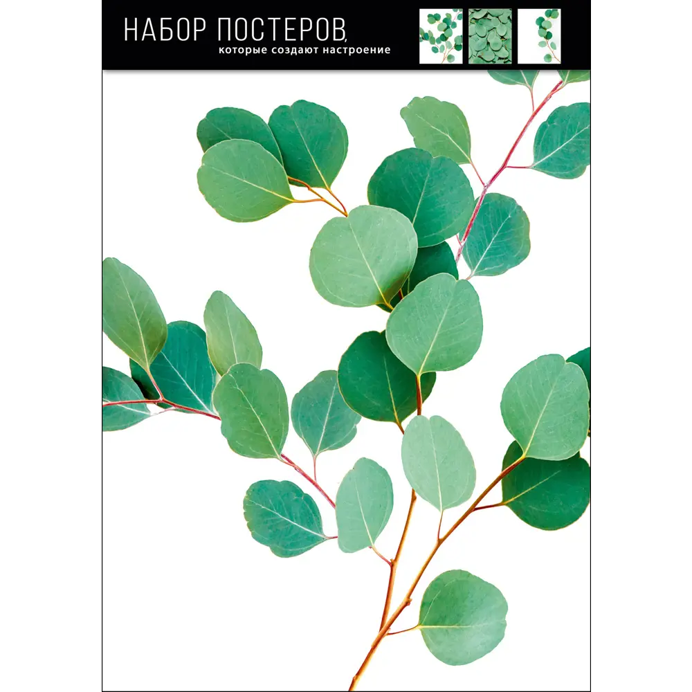 Santreyd: Набор постеров «Листья» для современного интерьера 39×49 см 88909952 STLM-0821338 - Вид №1