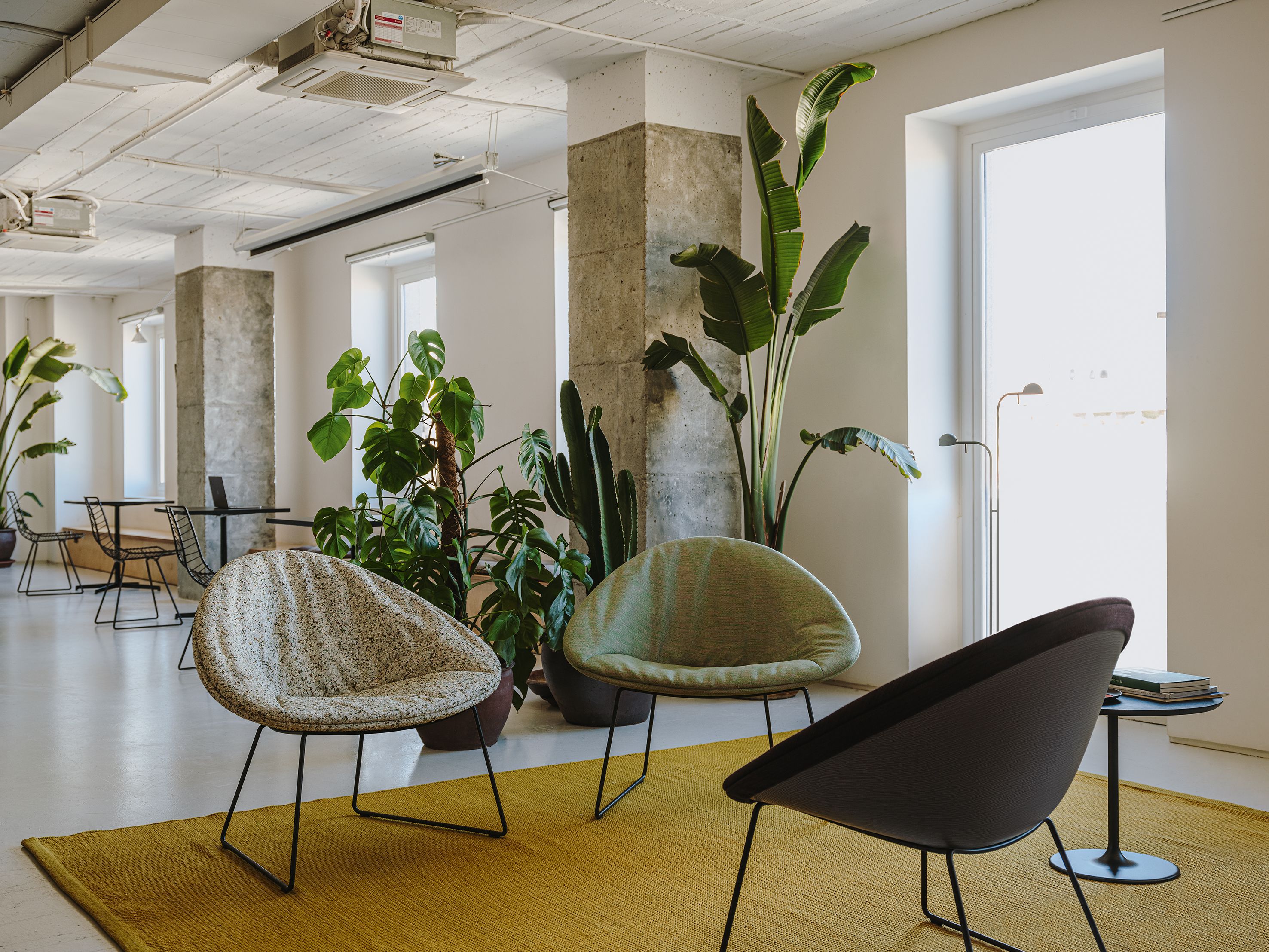 Полипропилен сани стул Arper Adell ARCH-00043224 - Вид №7